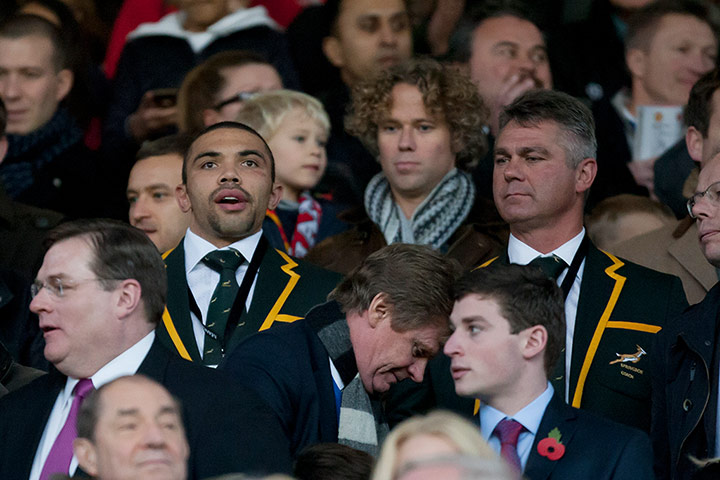 sport-: Bryan Habana, Heyneke Meyer