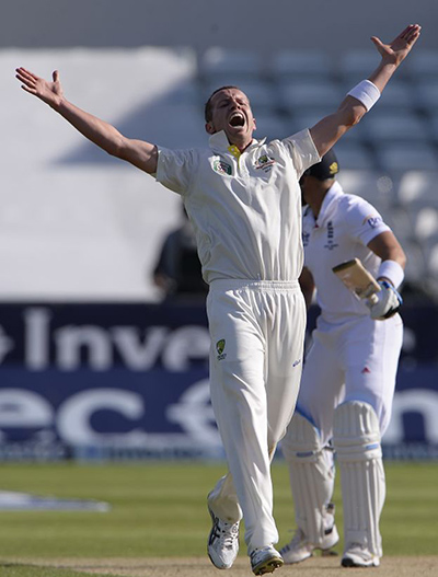 Australia's Ashes squad: Australia's Ashes squad: Peter Siddle