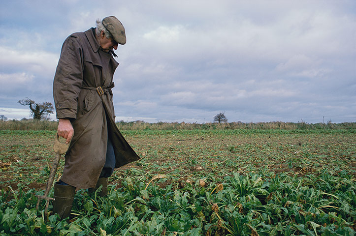 East Anglia - Weekend: elderly man standing in brown coat standing in field