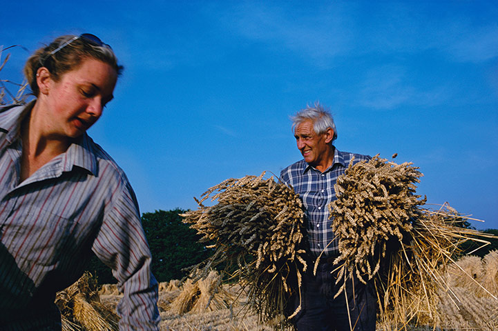 East Anglia - Weekend: Man and woman in field collecting hay
