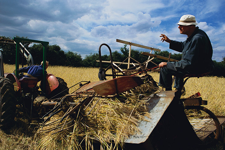 East Anglia - Weekend: Man on combineharvester in field