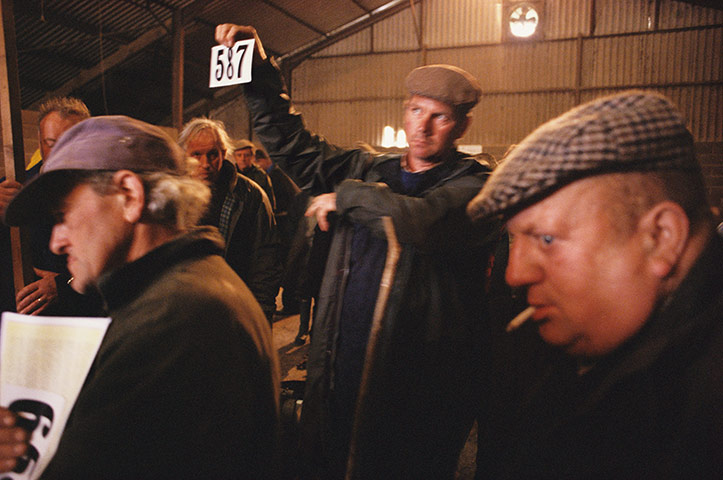 East Anglia - Weekend: men at farm sale in Suffolk