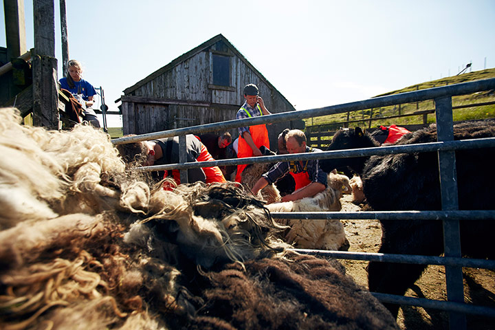 Faroe Islands: Gripping Yarns Faroe Islands