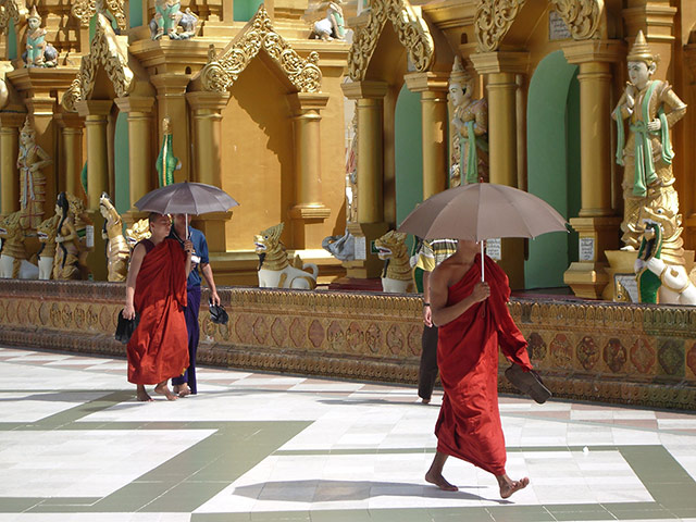 Your Pictures - Culture: monks with umbrellas walking past Pagoda in Myanmar