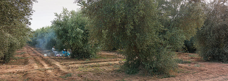 Marrakech: Marrakech photography