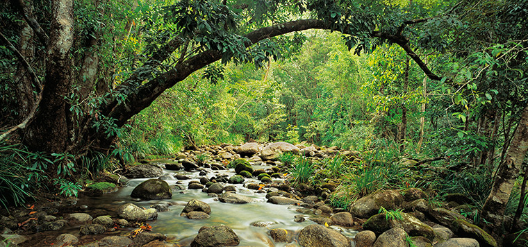 Nature reserves: Mossman River tributary, Queensland, Australia