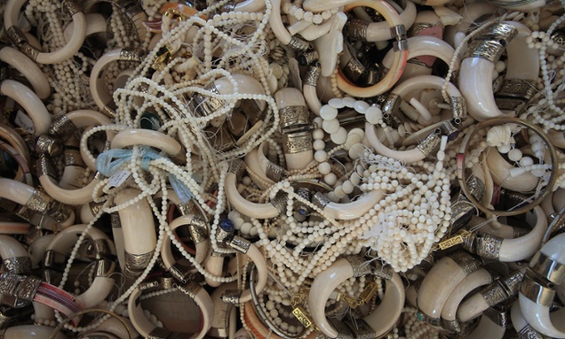 Six tons of ivory confiscated by the U.S. Fish and Wildfire Service on