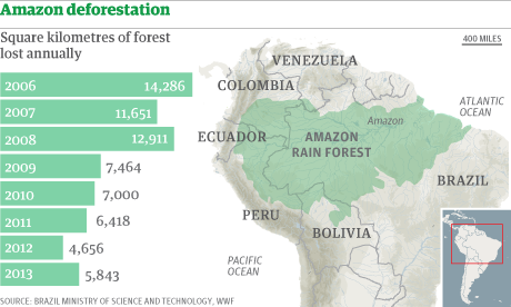 Amazon deforestation