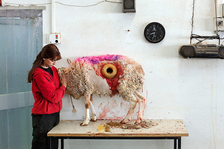 Paris Photo 2014: Martin Kollar. Field Trip, 2013