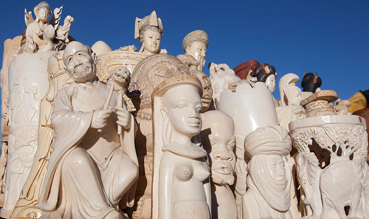 US Ivory disposal: Carved ivory items are sorted before being crushed