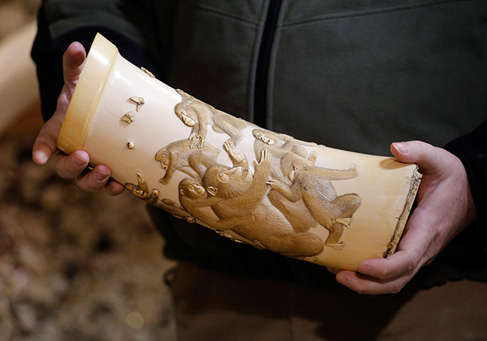 US Ivory disposal: Edward Grace