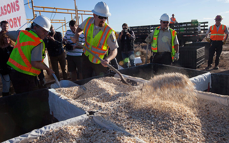 US Ivory disposal: Workers shovel crushed confiscated ivory