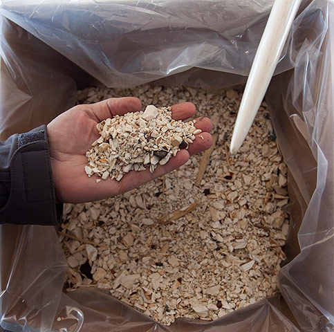 US Ivory disposal: Crushed confiscated ivory at the National Wildlife Property Repository