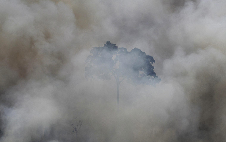 20 Photos: An area of the Amazon rainforest is burnt to clear land near Novo Progresso