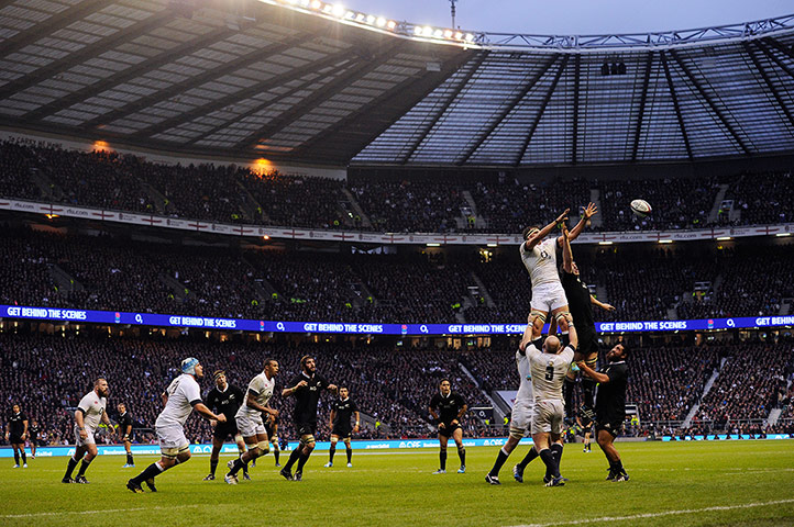 England v New Zealand: Tom Wood claims a line-out