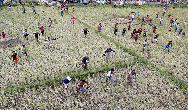 Weekend in pictures: Tacloban, Philippines: Filipino survivors of typhoon Haiyan run for food dropped by an air force helicopter