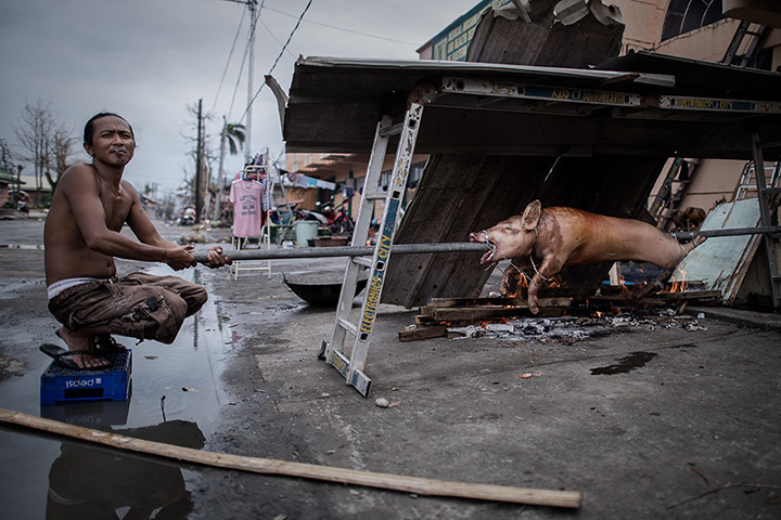 Weekend in pictures: Tacloban, Philippines: A typhoon survivor roasts a pig on the pavement 