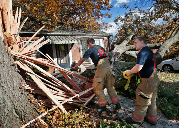 Firefighters climb over a tree