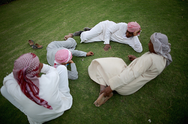 From the agencies camels: Camel handlers relax on the manicured grass between races