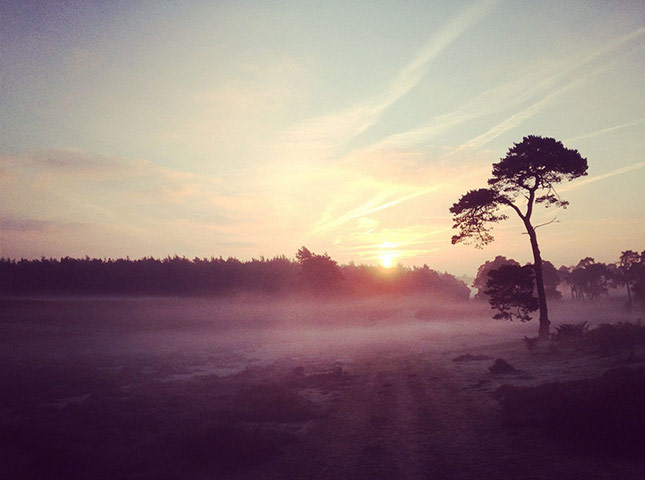 Share Your Sun: Suffolk Sunrise 