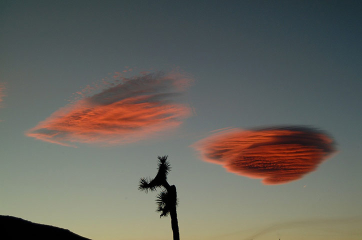 Share Your Sun: Desert Sunset 