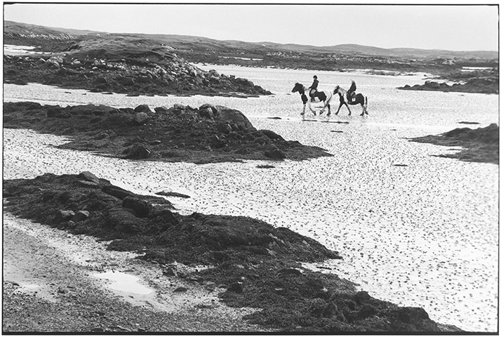 Elliott Erwitt: Horses on beach