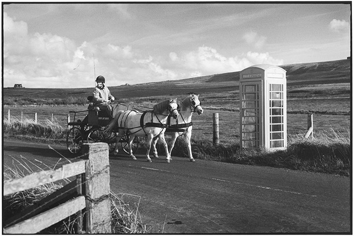 Elliott Erwitt: Horse drawn carriage and phone box