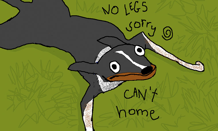 Allie Brosh: I have a mentally impinged animal