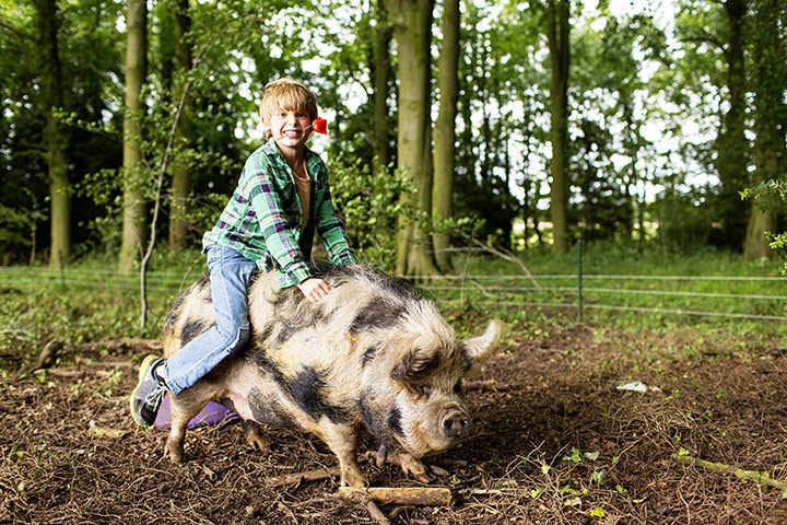 Selby: Amanda Brooks: Amanda Brooks