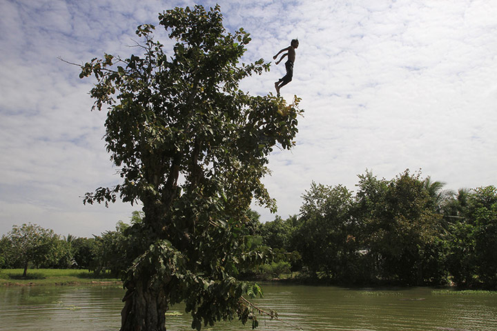20 Photos: A Cambodian boy jumps from a tree on the outskirts of Phnom Penh