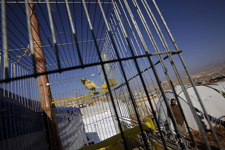 20 Photos: A Syrian man outside his tent in a refugee camp in Arsal, Lebanon