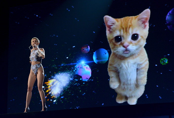 AMA Awards: Miley Cyrus giant kitten