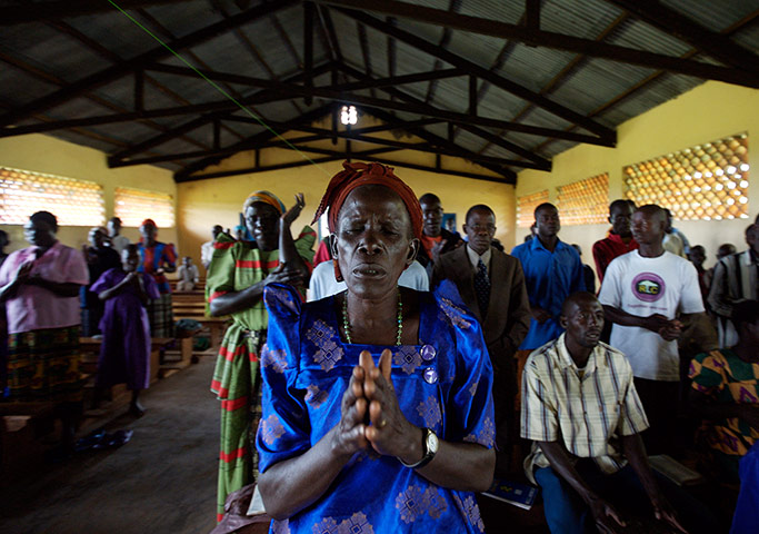 Katine Christmas appeal: Katine Christmas appeal