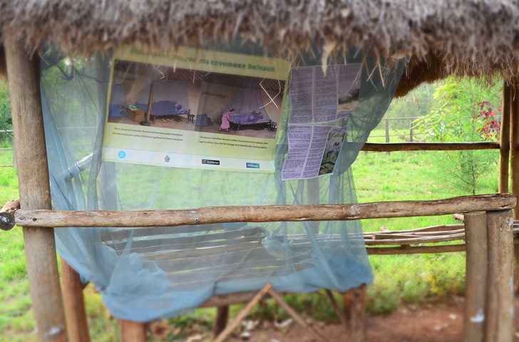 Malaria Consortium pics: mosquito net 
