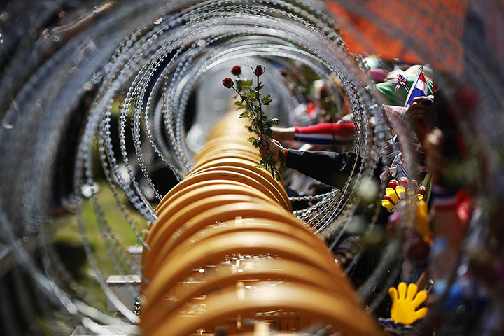 20 Photos: Anti-government protesters give roses to security personnel in Bangkok