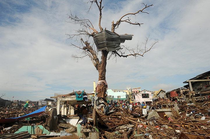 20 Photos: Typhoon survivors participate in a 'cash for work' programme in Tacloban