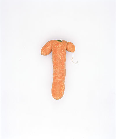 Big Picture - Carrots: orange carrot on white background