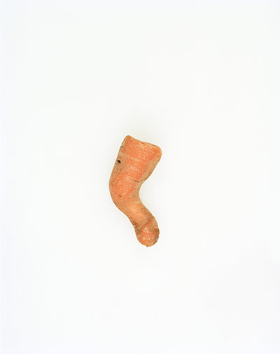 Big Picture - Carrots: orange carrot against white background
