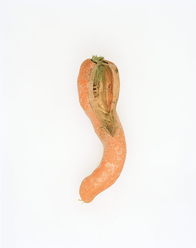 Big Picture - Carrots: orange carrot against white background