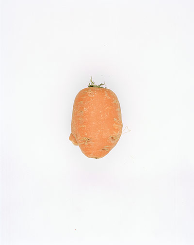 Big Picture - Carrots: orange carrot on white background
