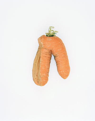 Big Picture - Carrots: orange carrot on white background