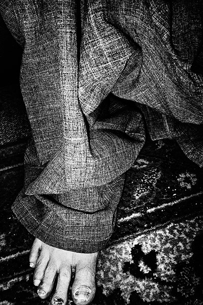 Veins: Jacob Aue Sobol 