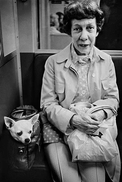 Veins: Anders Petersen  