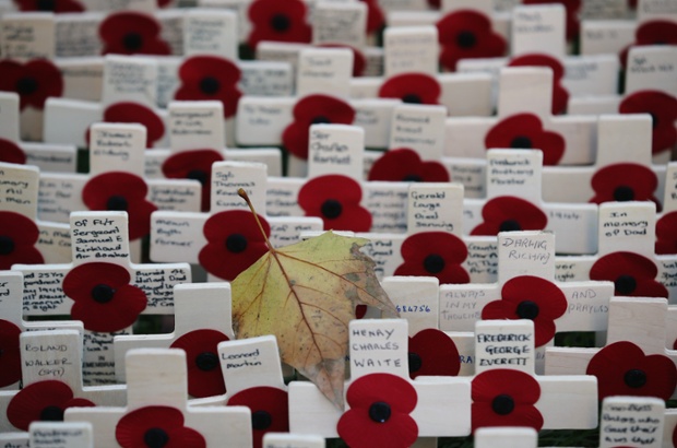 Remembrance crosses are photographed in detail outside Westminster Abbey ahead of the official opening of the Royal British Legion's Field of Remembrance in London. 