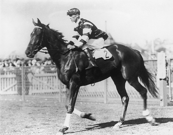 Melbourne Cup memories: Australian race horse Phar Lap