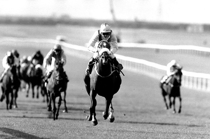 Melbourne Cup memories: Vintage Crop 1992 