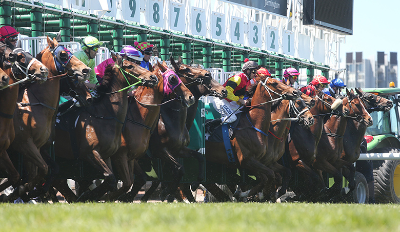 Melbourne Cup: The start of race 3 at the Melbourne Cup 