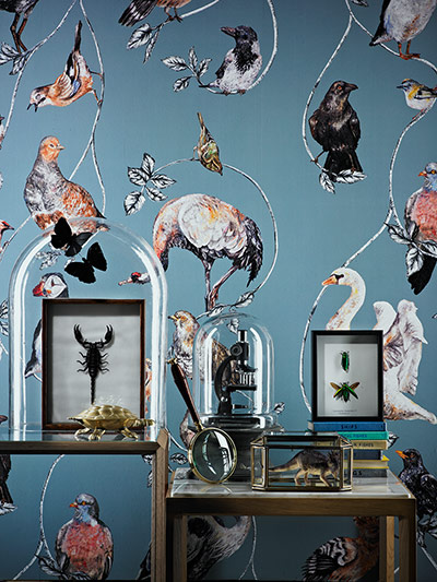 Homes - Vintage: collection of homes accessories against bird wallpaper