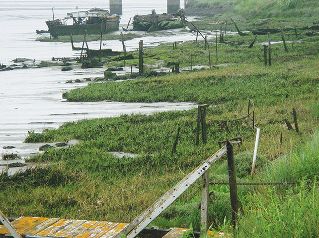 Postcards: Hulks at Heybridge Basin near Maldon