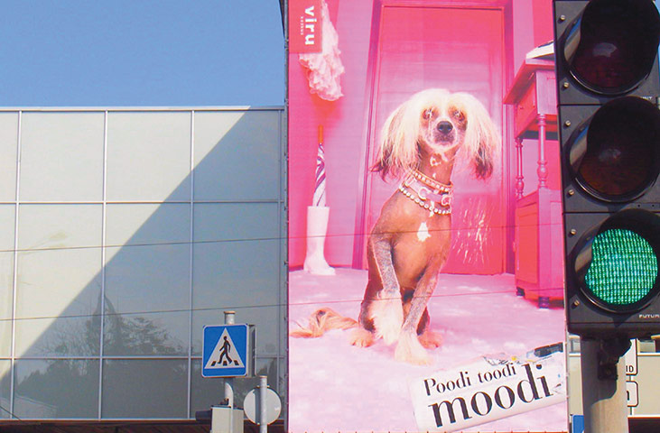 Postcards: Liisi is a major star of Estonian reality TV. 